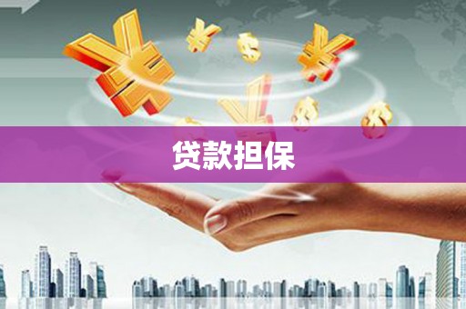 文安贷款担保
