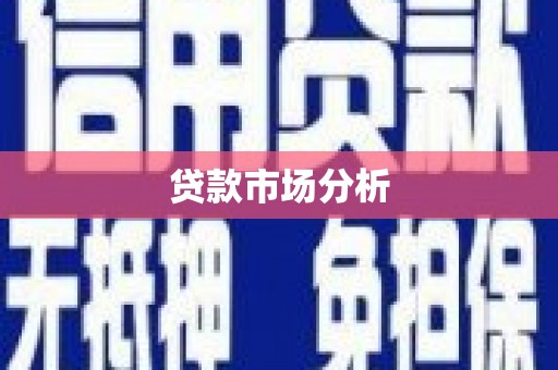 文安贷款市场分析