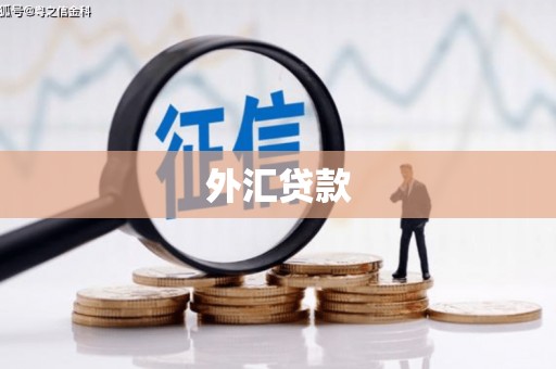 文安外汇贷款