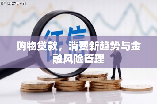 文安购物贷款，消费新趋势与金融风险管理