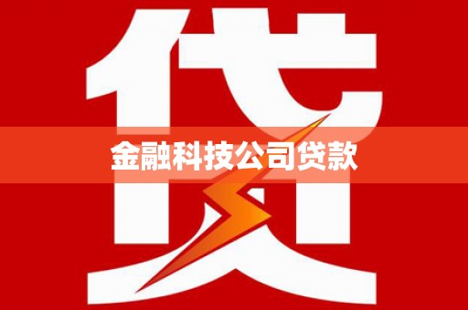 文安金融科技公司贷款