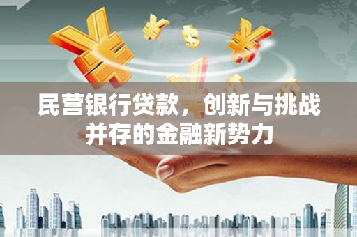 文安民营银行贷款，创新与挑战并存的金融新势力