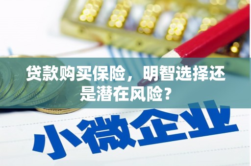 文安贷款购买保险，明智选择还是潜在风险？