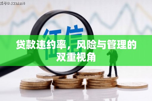 文安贷款违约率，风险与管理的双重视角