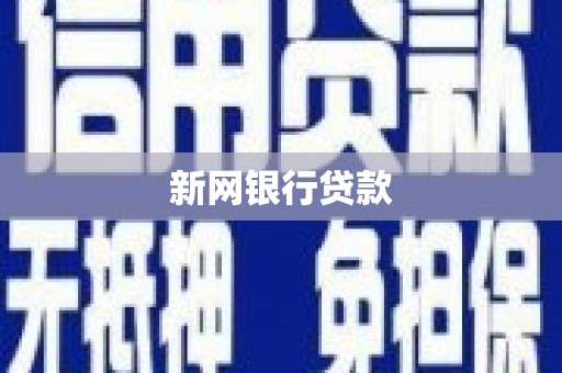 文安新网银行贷款