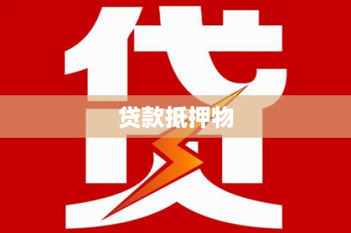 文安贷款抵押物