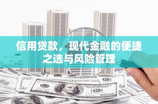 文安信用贷款，现代金融的便捷之选与风险管理