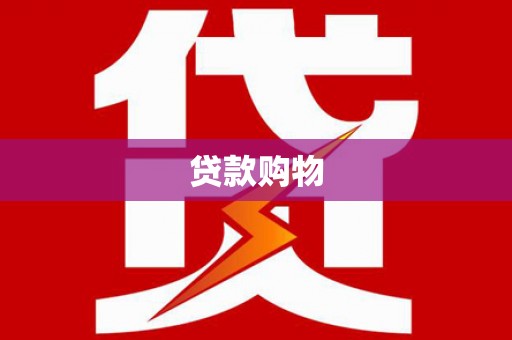 文安贷款购物