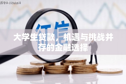 文安大学生贷款，机遇与挑战并存的金融选择