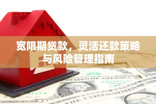 文安宽限期贷款，灵活还款策略与风险管理指南
