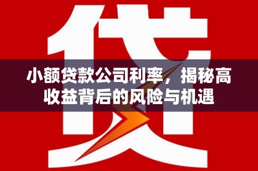 文安小额贷款公司利率，揭秘高收益背后的风险与机遇