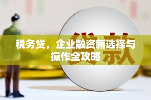 文安税务贷，企业融资新选择与操作全攻略
