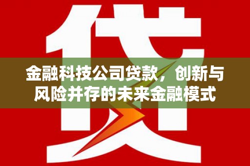 文安金融科技公司贷款，创新与风险并存的未来金融模式