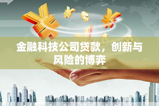 文安金融科技公司贷款，创新与风险的博弈