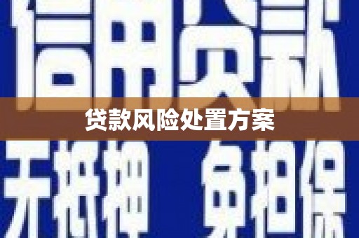 文安贷款风险处置方案