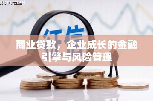 文安商业贷款，企业成长的金融引擎与风险管理