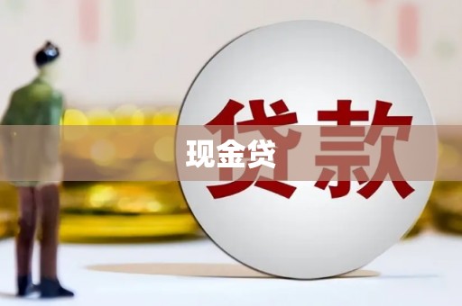文安现金贷