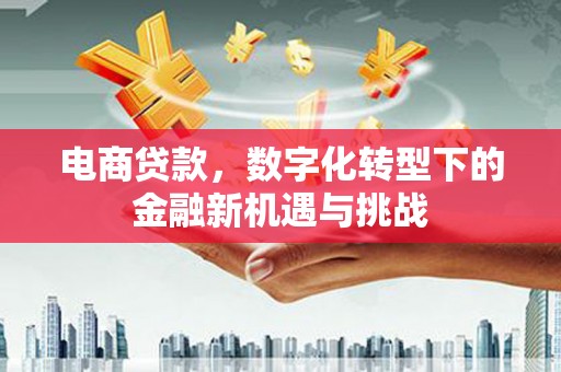 文安电商贷款，数字化转型下的金融新机遇与挑战