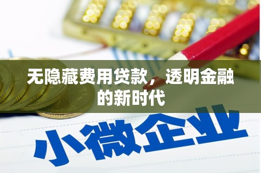 文安无隐藏费用贷款，透明金融的新时代