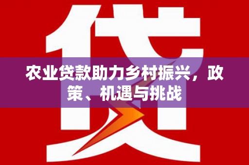 文安农业贷款助力乡村振兴，政策、机遇与挑战