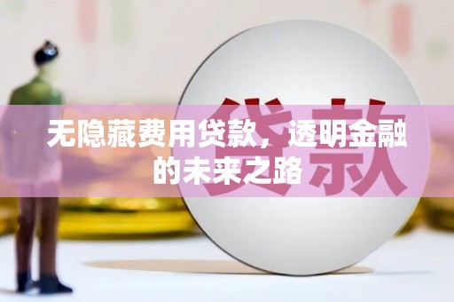 文安无隐藏费用贷款，透明金融的未来之路