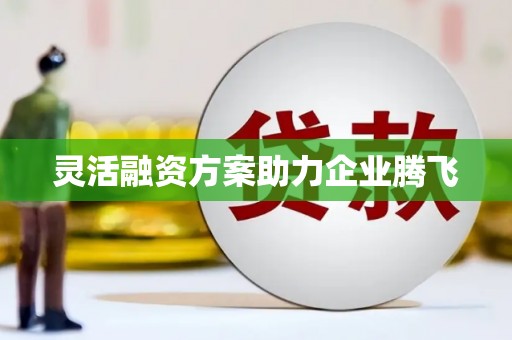 文安灵活融资方案助力企业腾飞