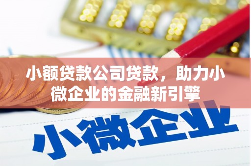 文安小额贷款公司贷款，助力小微企业的金融新引擎