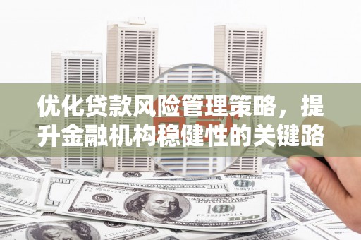 文安优化贷款风险管理策略，提升金融机构稳健性的关键路径