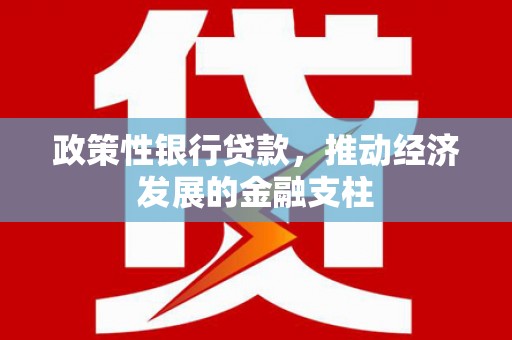 文安政策性银行贷款，推动经济发展的金融支柱