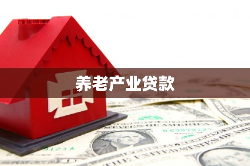 文安养老产业贷款