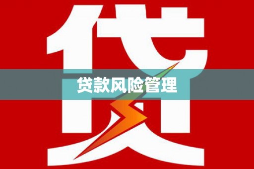 文安贷款风险管理
