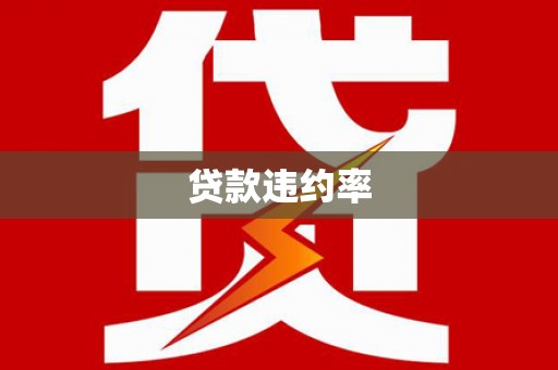 文安贷款违约率