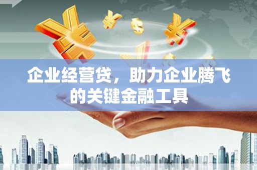 文安企业经营贷，助力企业腾飞的关键金融工具