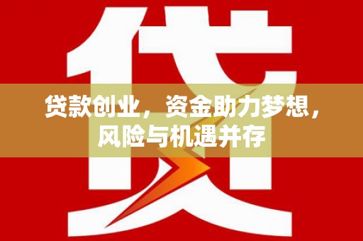 文安贷款创业，资金助力梦想，风险与机遇并存