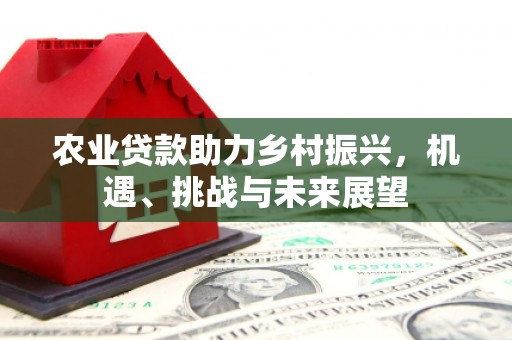 文安农业贷款助力乡村振兴，机遇、挑战与未来展望
