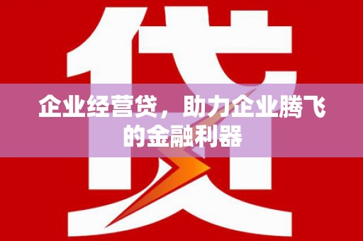 文安企业经营贷，助力企业腾飞的金融利器