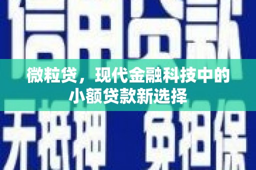 文安微粒贷，现代金融科技中的小额贷款新选择