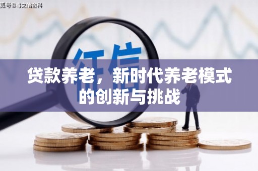 文安贷款养老，新时代养老模式的创新与挑战