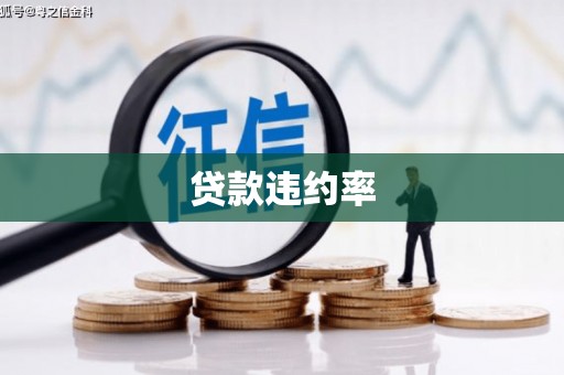 文安贷款违约率