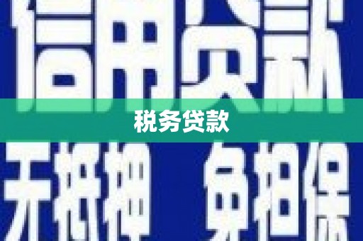 文安税务贷款