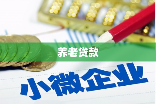 文安养老贷款