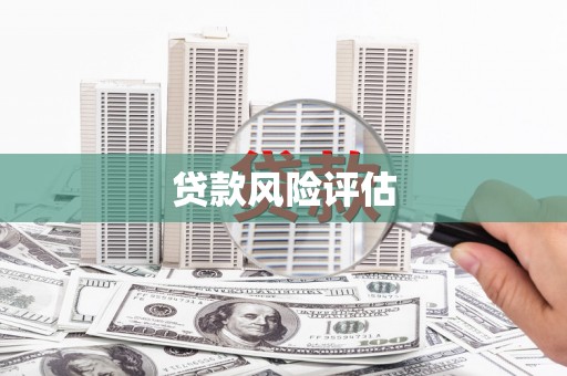 文安贷款风险评估