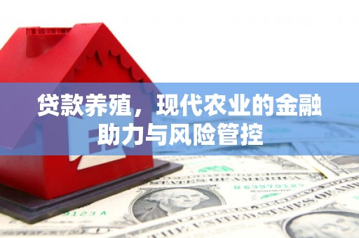 文安贷款养殖，现代农业的金融助力与风险管控