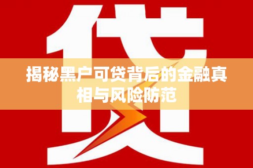文安揭秘黑户可贷背后的金融真相与风险防范