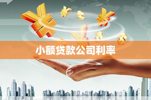 文安小额贷款公司利率