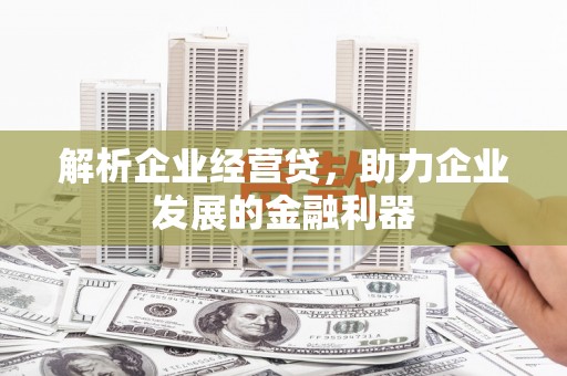 文安解析企业经营贷，助力企业发展的金融利器