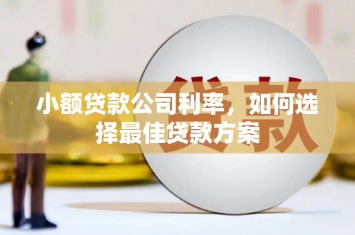 文安小额贷款公司利率，如何选择最佳贷款方案