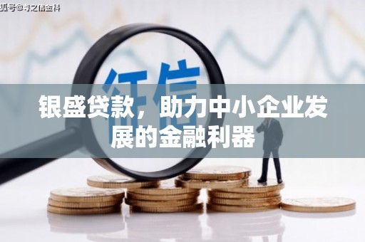 文安银盛贷款，助力中小企业发展的金融利器