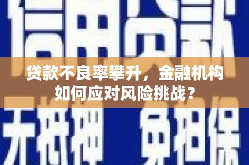 文安贷款不良率攀升，金融机构如何应对风险挑战？