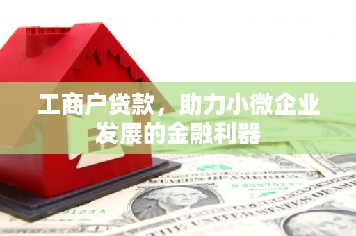 文安工商户贷款，助力小微企业发展的金融利器